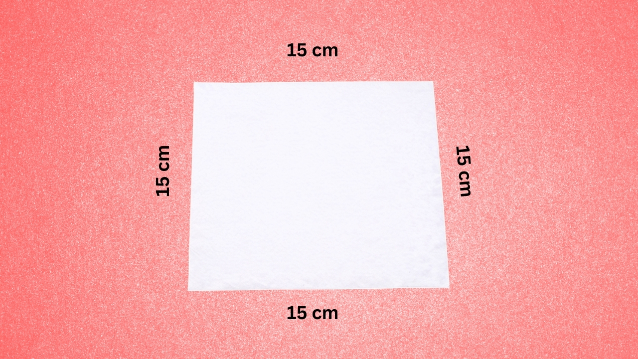 Step 1: Start with a Square Paper