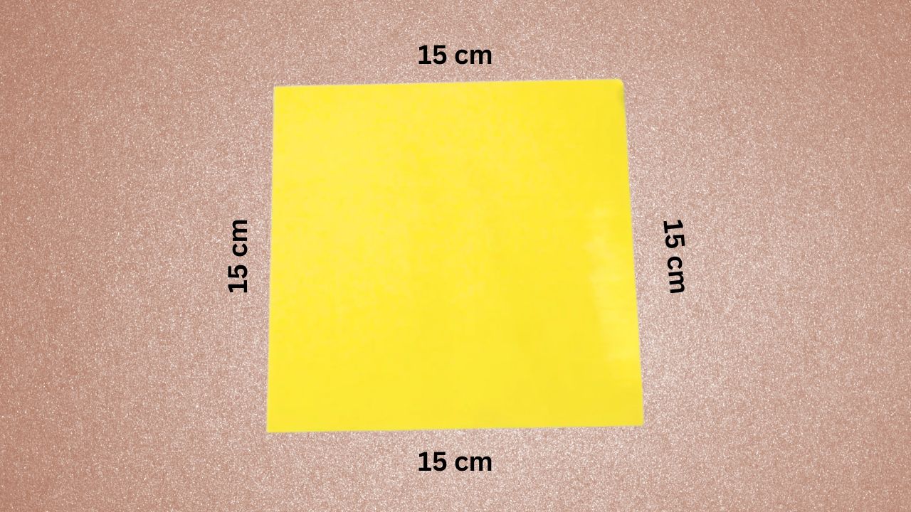 Step 1: Start with a Square Paper