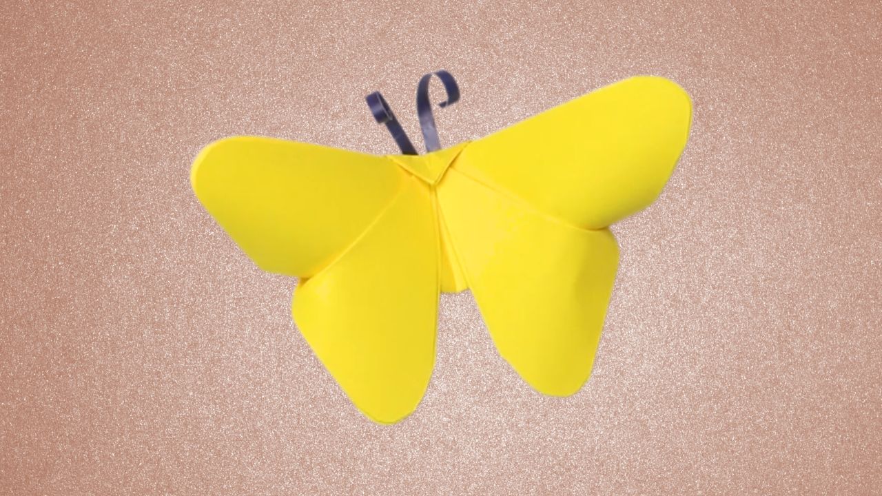 Origami Butterfly
